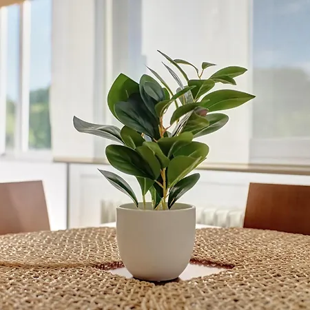 Apartamento Camino 3 By Clabao Pamplona