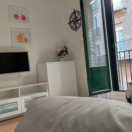 Apartment Ibarrenea *