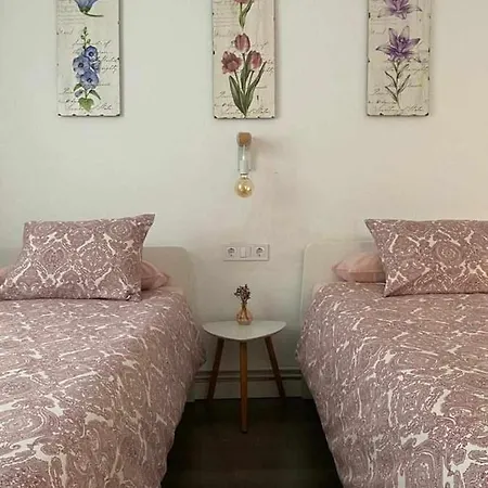 Apartment Ayla Camino De Santiago *