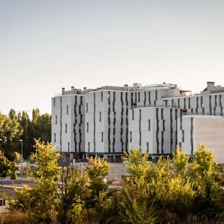 Estudios Y Modernas En Pamplona, Sk