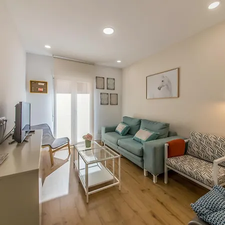 Apartment Con Terraza