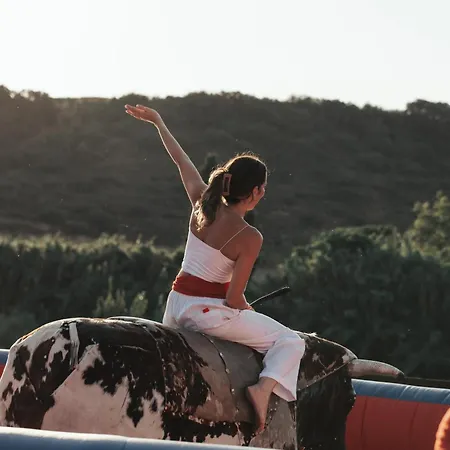 Running Of The Bulls * Pamplona