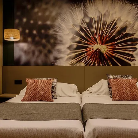 Rodas Guest house *