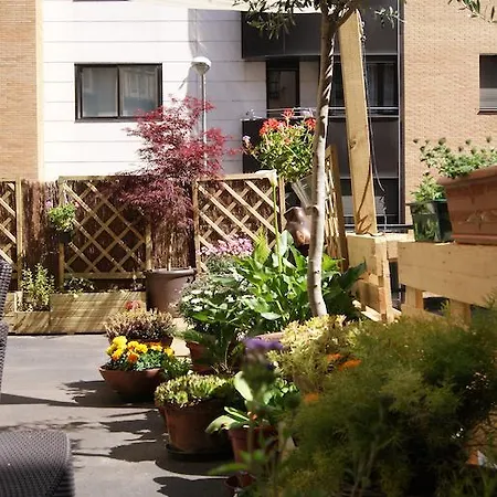 Albergue Aloha