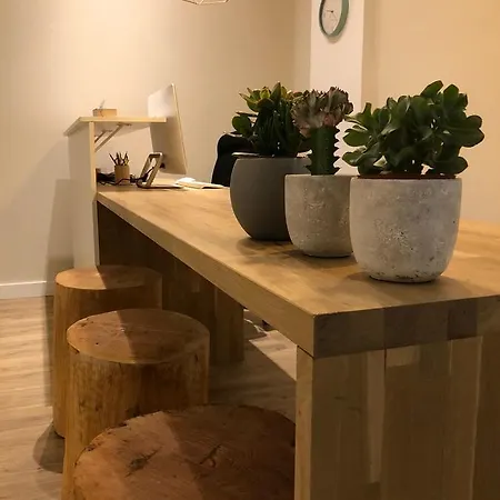 Inn Estela Pamplona