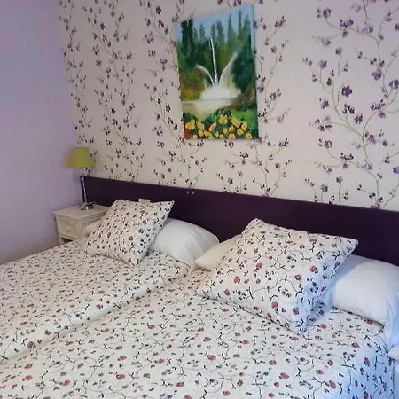 Olga 5*