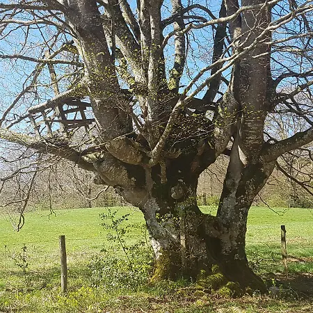 Casa Rural Errebesena Bed & Breakfast Pamplona