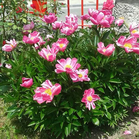 Casa Rural Errebesena Bed & Breakfast