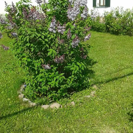 Casa Rural Errebesena Bed & Breakfast