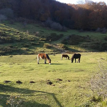 Casa Rural Errebesena Bed & Breakfast Pamplona
