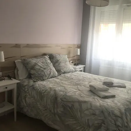 Olga 5*